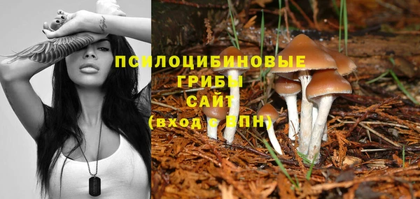 ПСИЛОЦИБИНОВЫЕ ГРИБЫ Остров