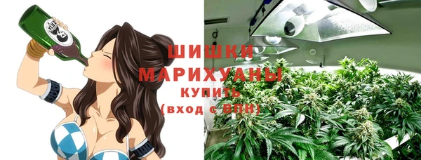 шишки Переславль-Залесский