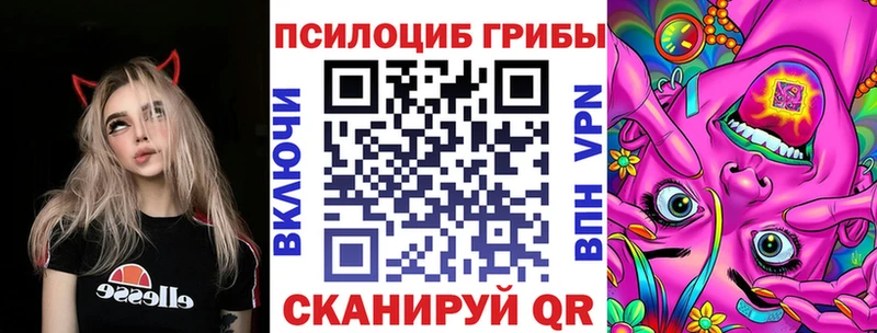 Купить закладки  Олонец  Псилоцибиновые грибы Magic Shrooms 